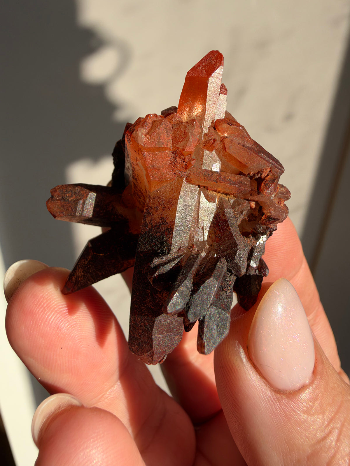 Ferruginous Quartz, Tinejdad, Morocco
