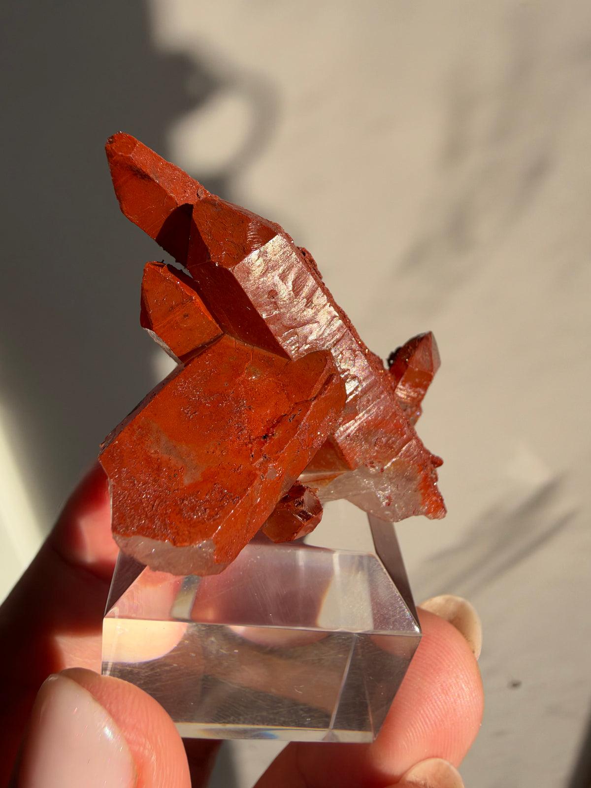 Ferruginous Quartz, Tinejdad, Morocco