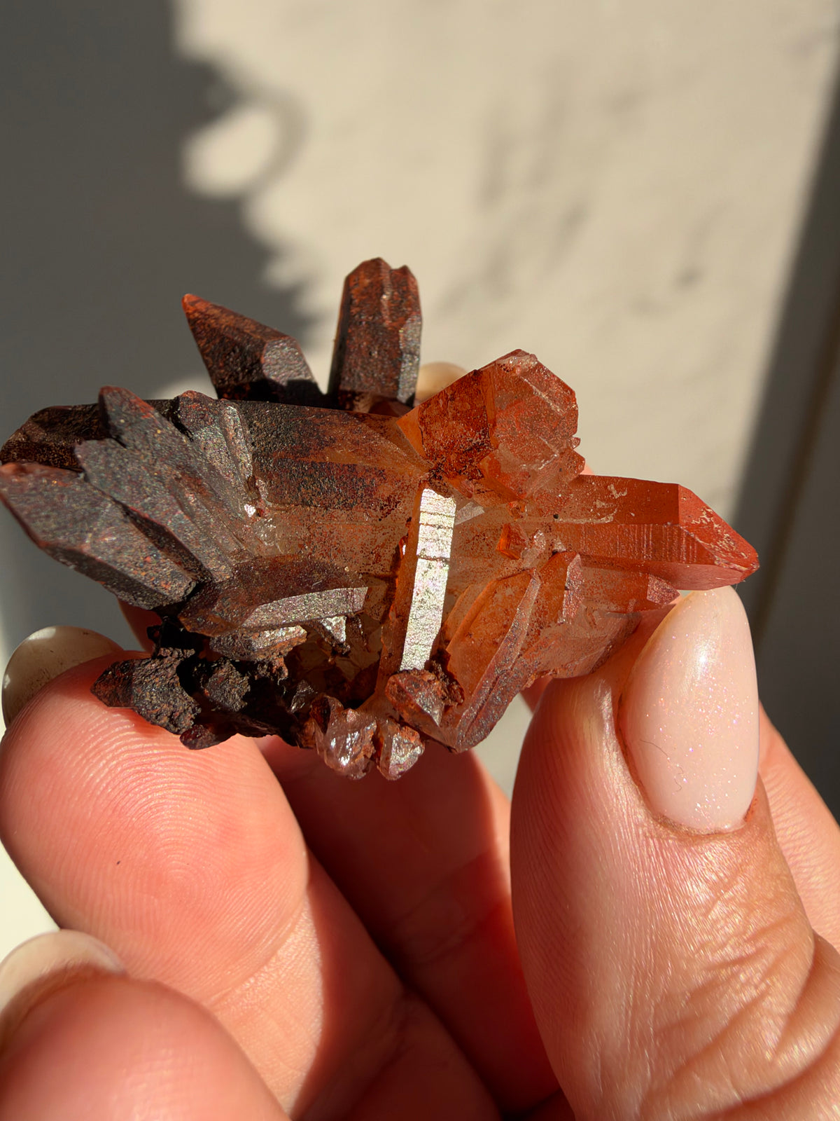 Ferruginous Quartz, Tinejdad, Morocco