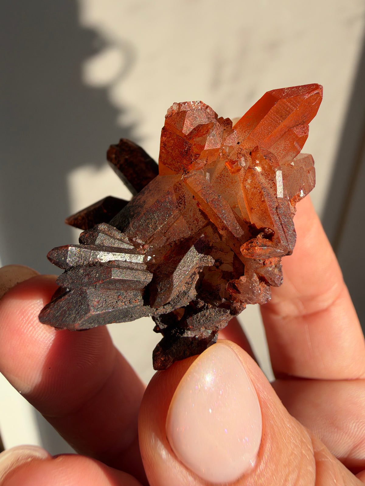 Ferruginous Quartz, Tinejdad, Morocco