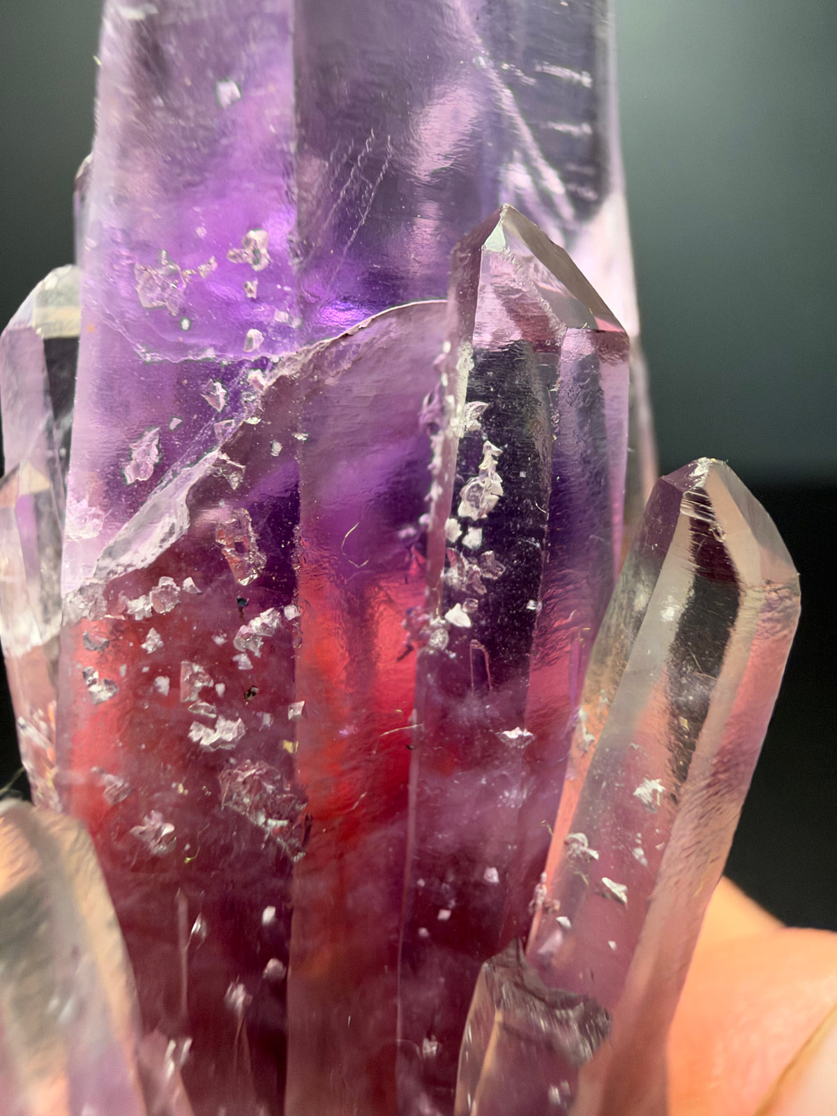 6.2cm Amethyst, Guerrero, Mexico