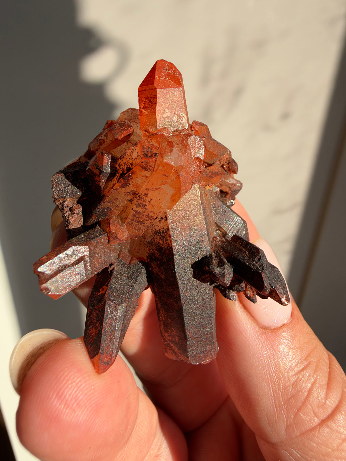 Ferruginous Quartz, Tinejdad, Morocco