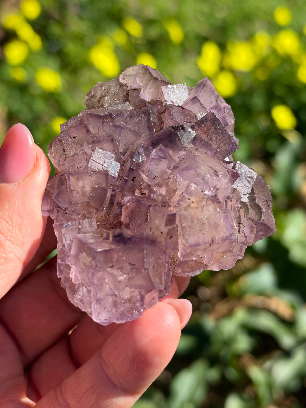Fluorite, Turkey