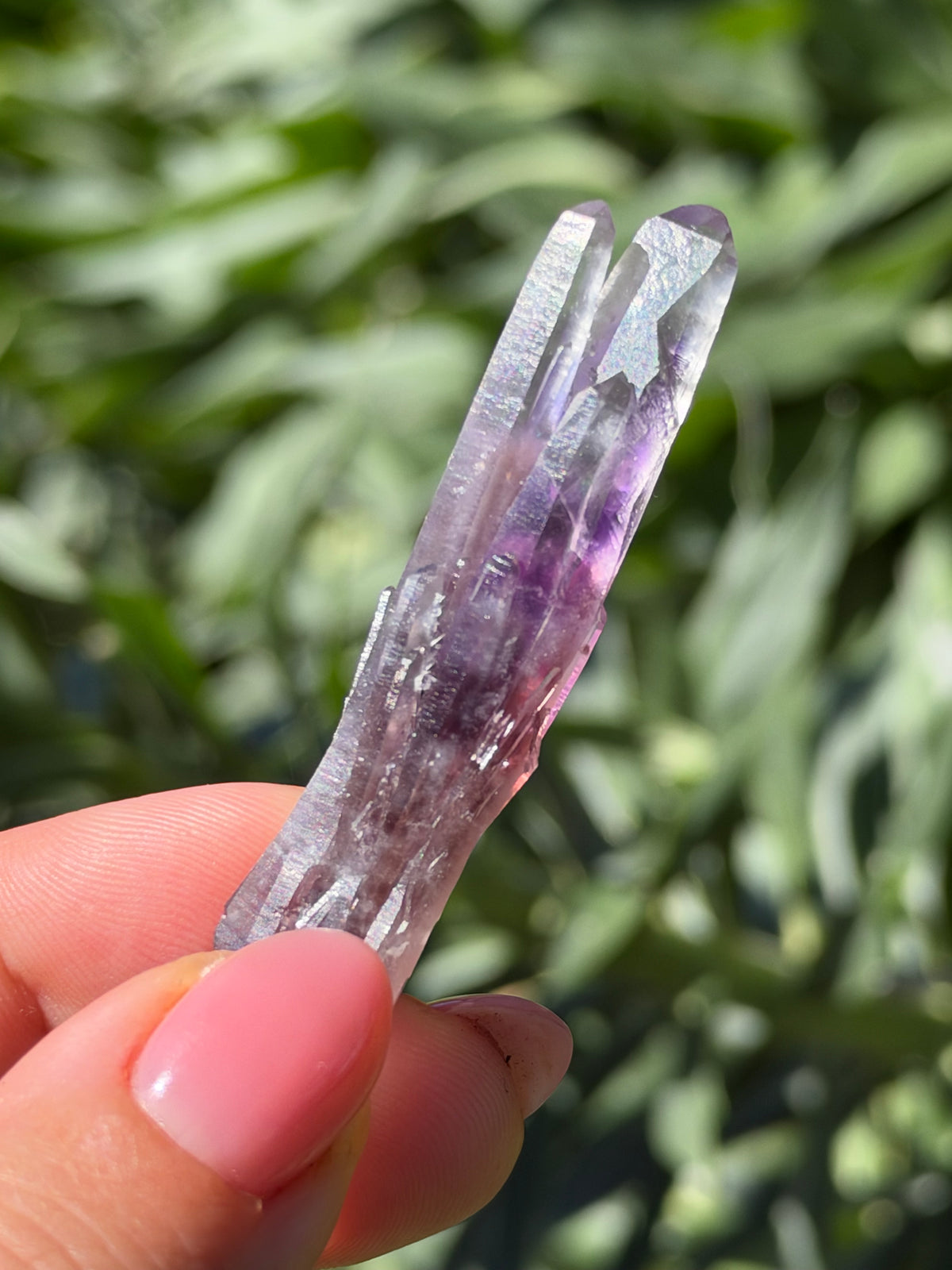 6.7cm Bowtie Amethyst, Guerrero, Mexico