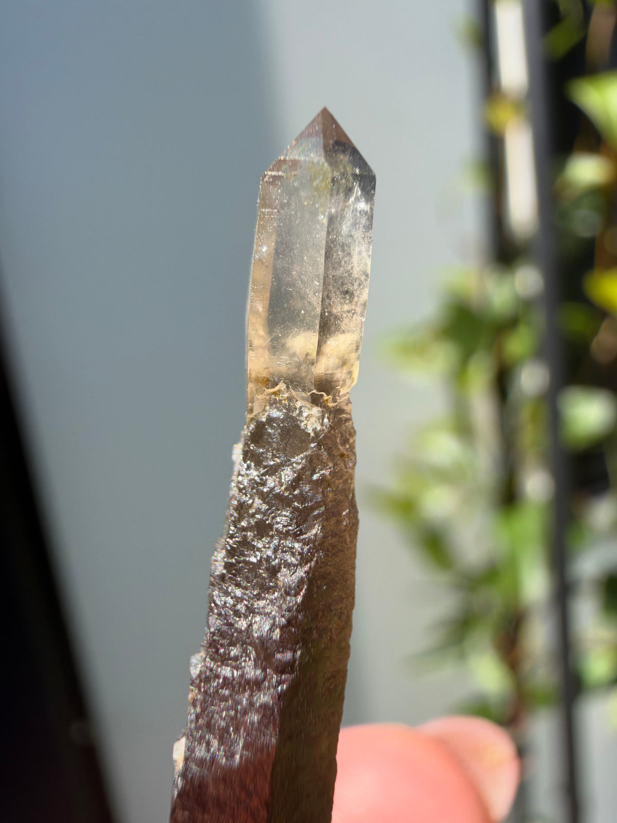 Smoky Quartz Scepter, Hallelujah Junction, Nevada, USA