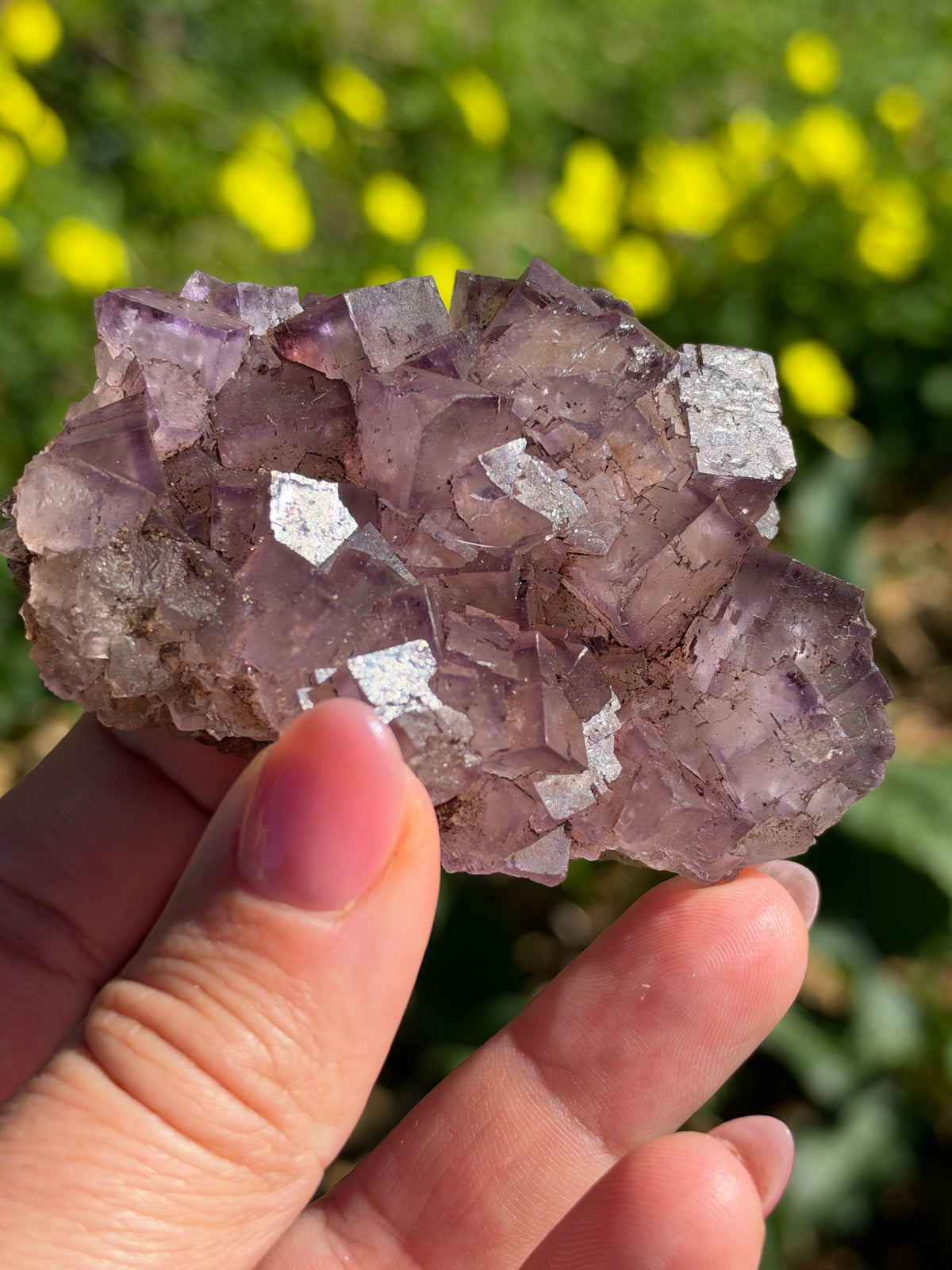 Fluorite, Turkey