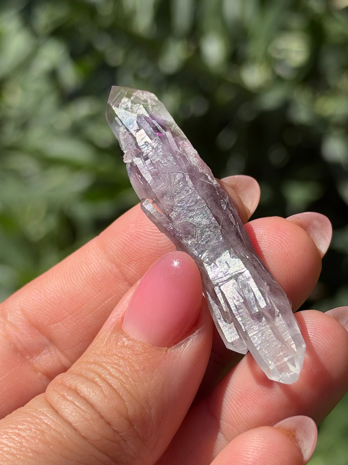 6.5cm Bowtie Amethyst, Guerrero, Mexico