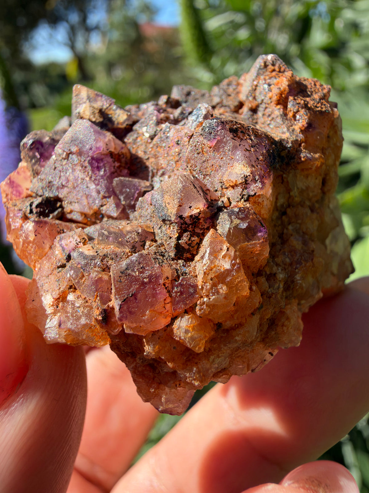 Octahedral Fluorite, Soldiers Cap, QLD, Australia