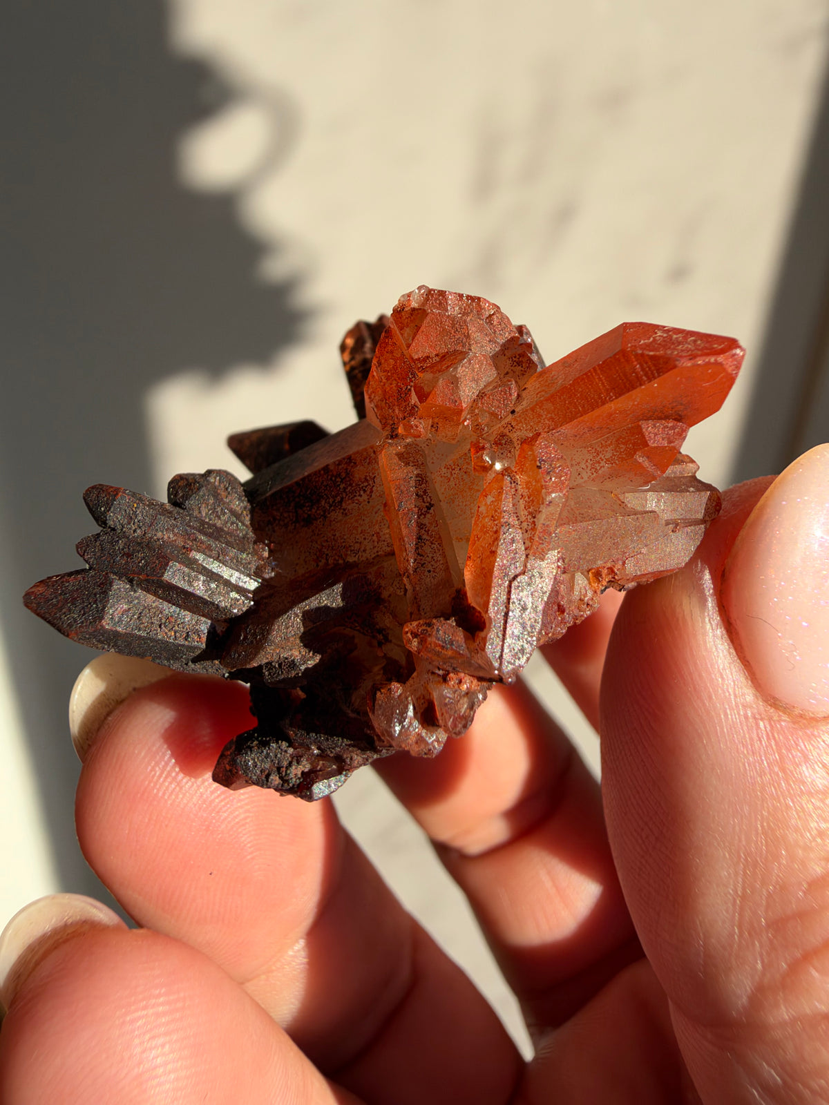 Ferruginous Quartz, Tinejdad, Morocco
