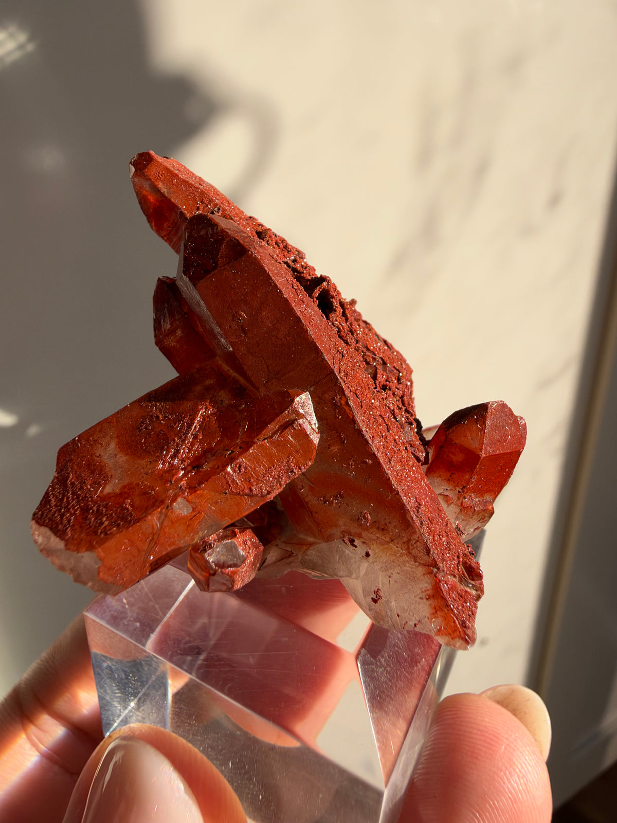 Ferruginous Quartz, Tinejdad, Morocco
