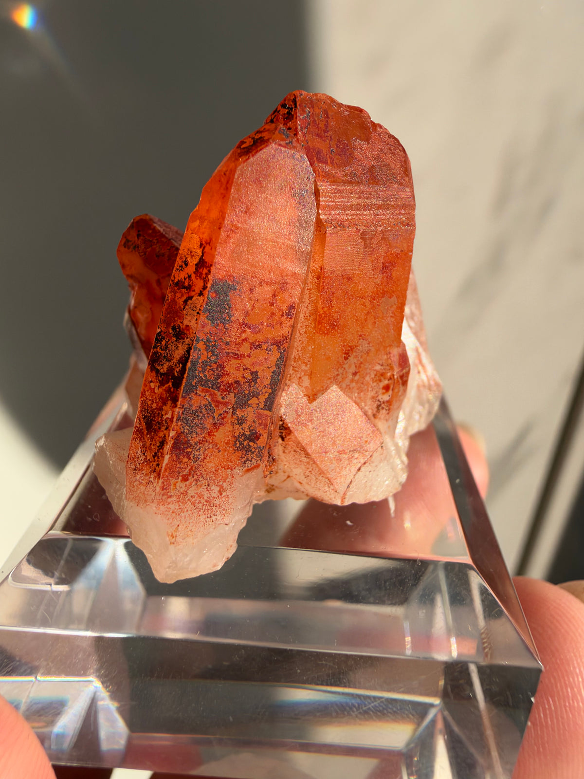 Ferruginous Quartz, Tinejdad, Morocco