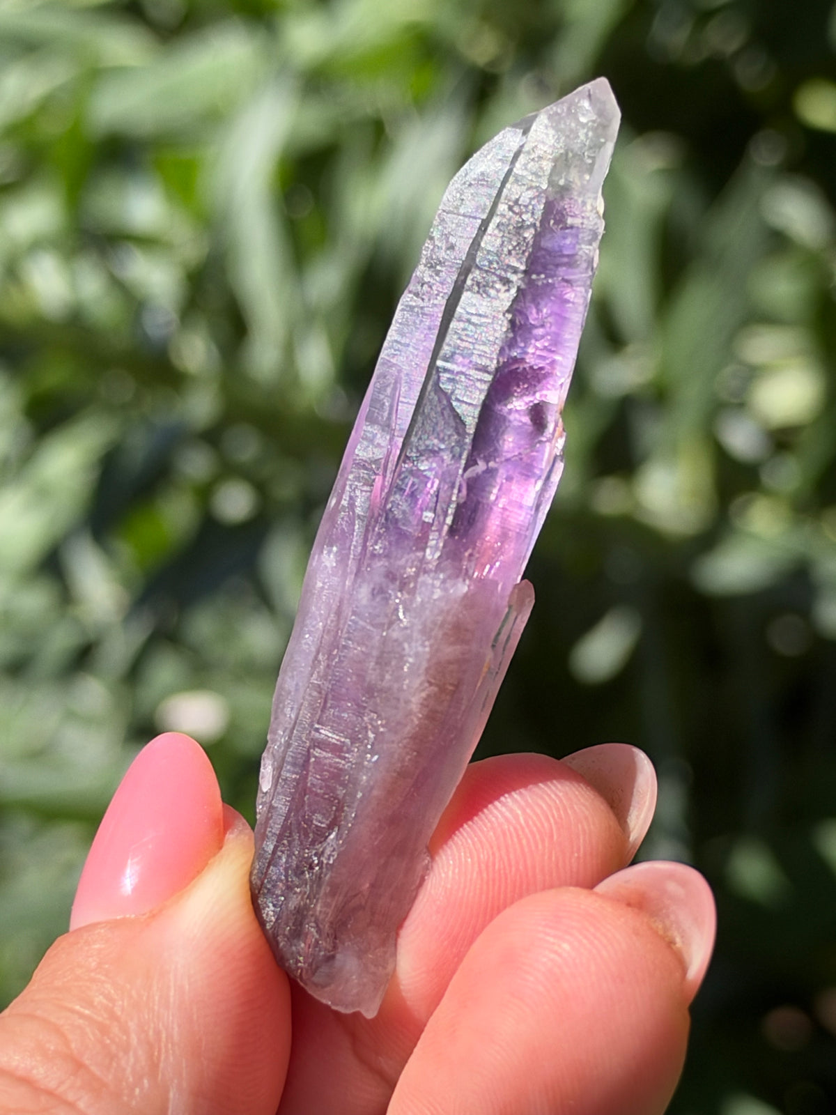 6.7cm Amethyst, Guerrero, Mexico