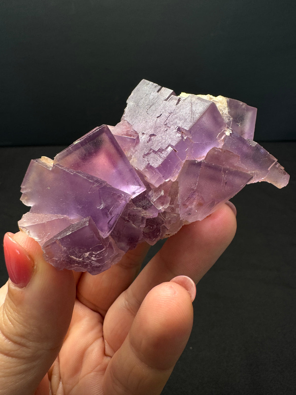 Purple Fluorite, Berbes, Spain