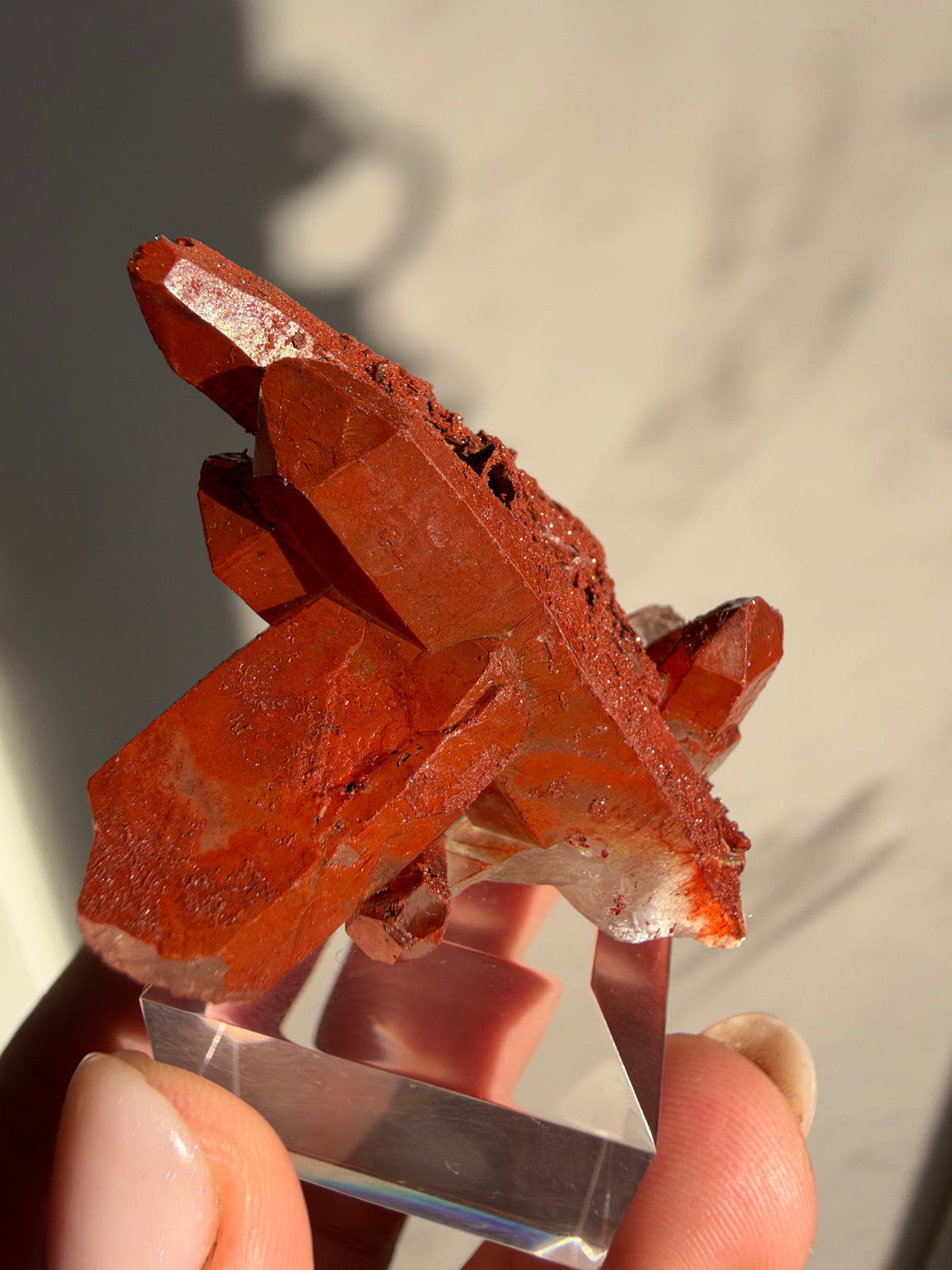 Ferruginous Quartz, Tinejdad, Morocco