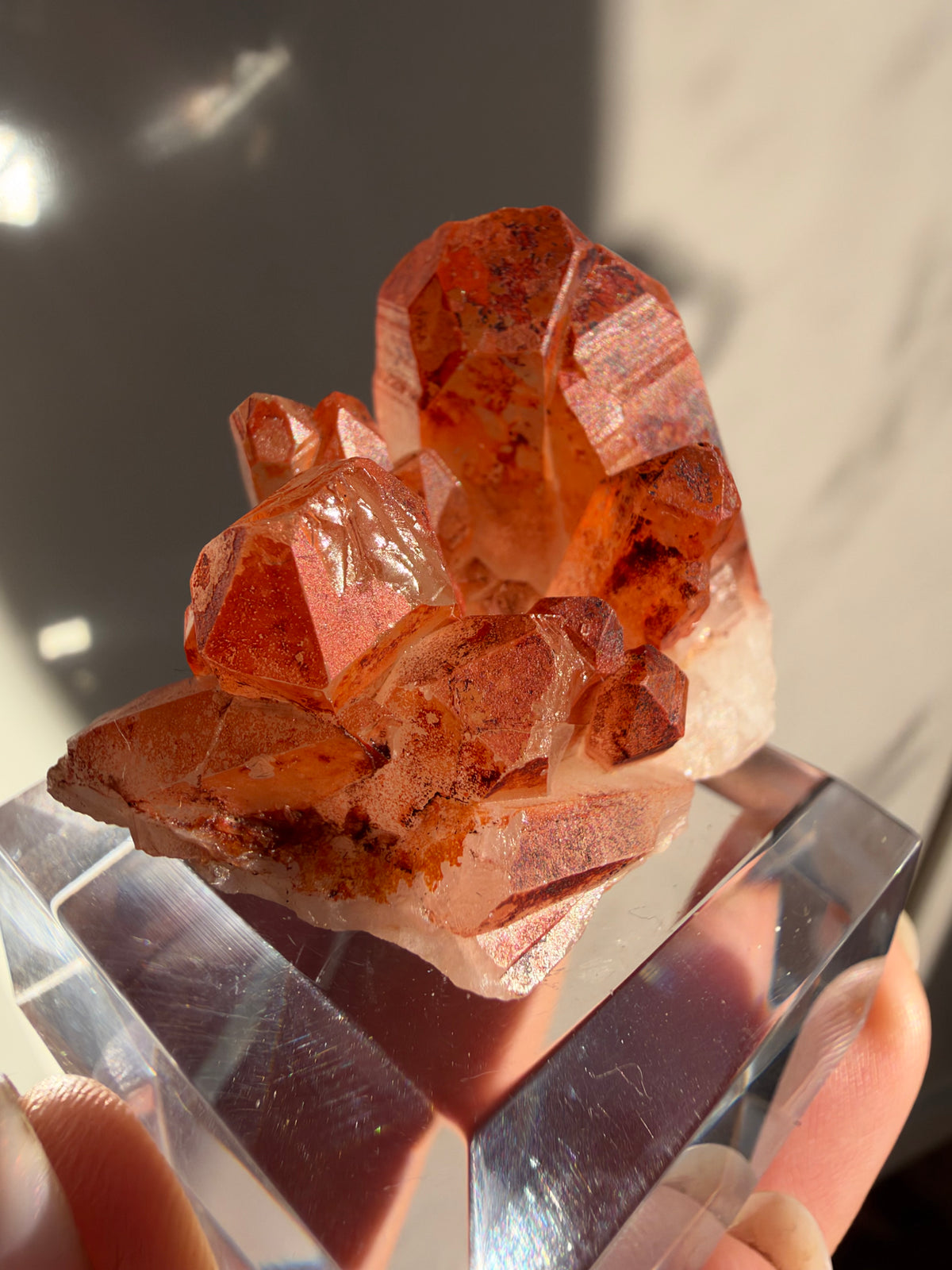 Ferruginous Quartz, Tinejdad, Morocco